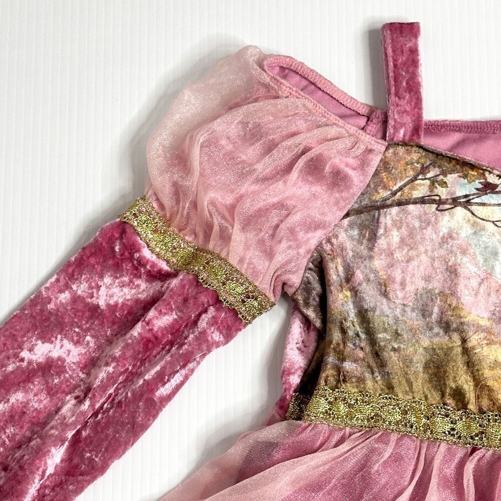 Disney Enchanted Rapunzel Princess Dress Costume Girls L 10/12 Crush Velvet Rare - Picture 9 of 12